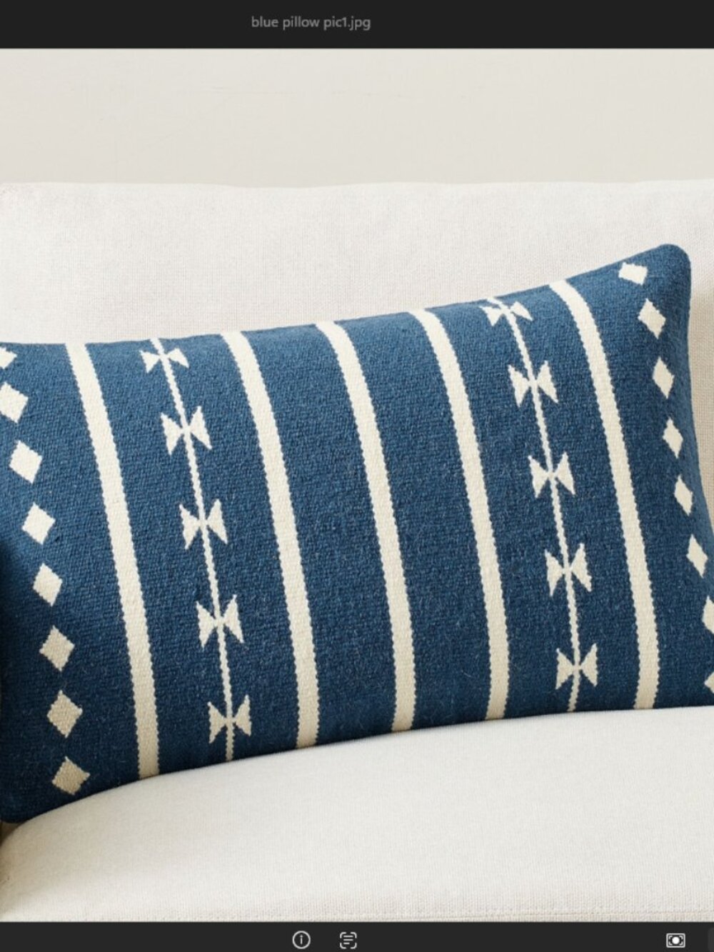 NWT Pottery Barn Charleston Woven Lumbar Pillow Cover